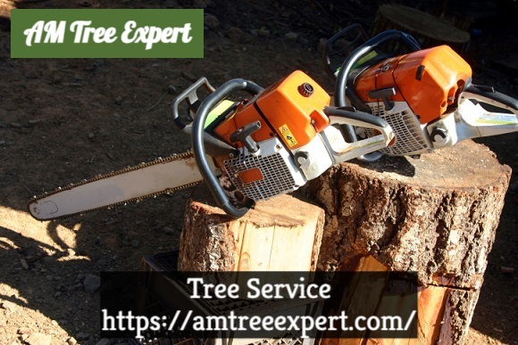 Tree Service Cincinnati, OH